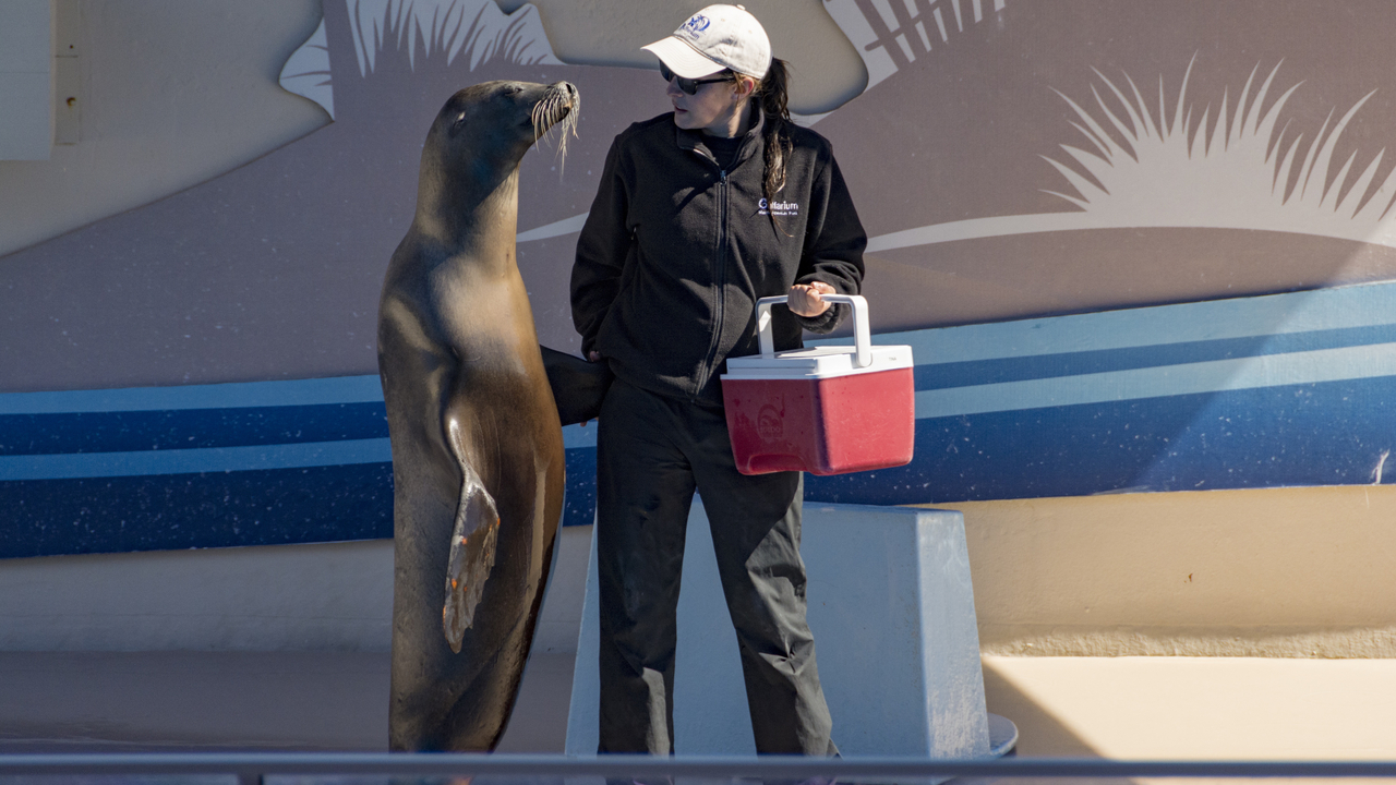 20160217-123454••Fort Walton Beach•Florida•USA